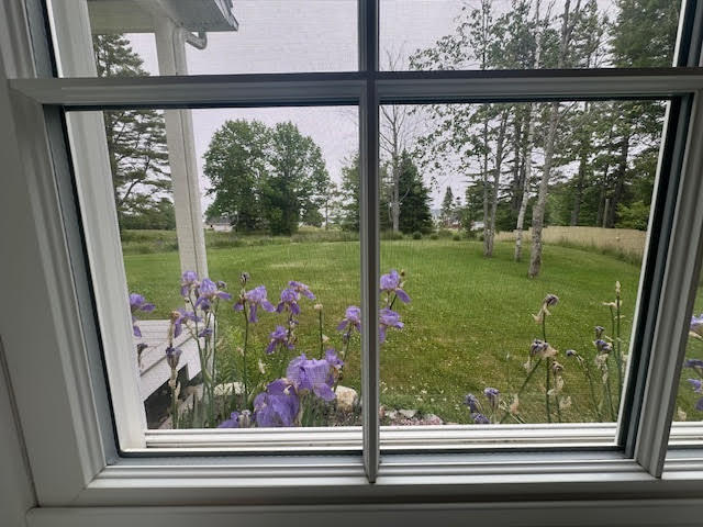 49 Fort Point Cove Road Stockton Springs ME 04981