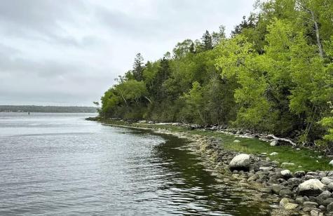 49 Fort Point Cove Road Stockton Springs ME 04981