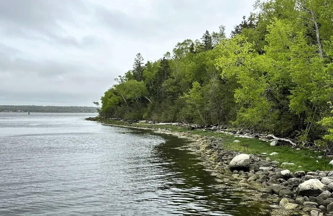 49 Fort Point Cove Road Stockton Springs ME 04981