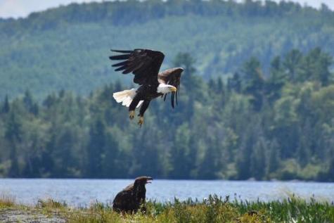 22 Point Road Guilford ME 04443