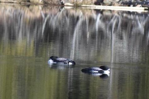 22 Point Road Guilford ME 04443