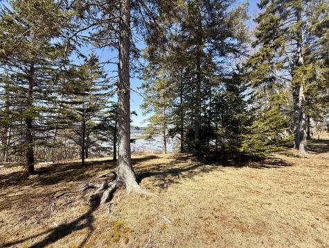 20 Vanasse Road Eastport ME 04631