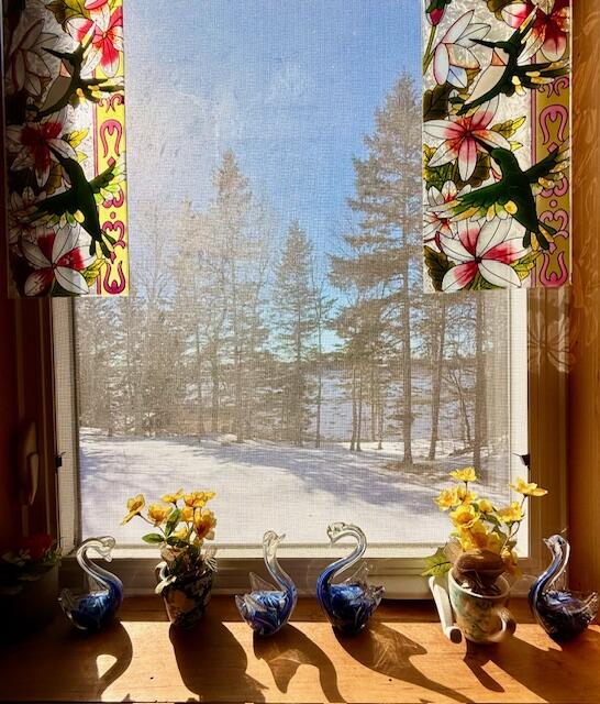 20 Vanasse Road Eastport ME 04631