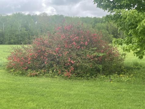 722 Farmington Road Strong ME 04983