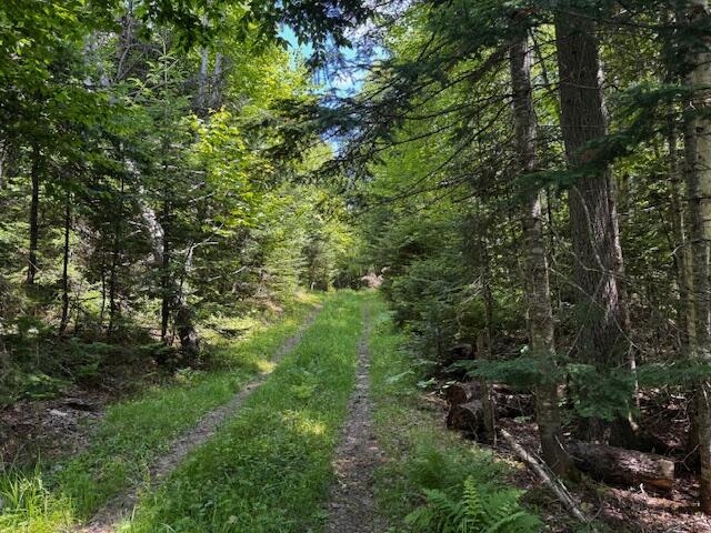 233 Church Road Oxbow ME 04764