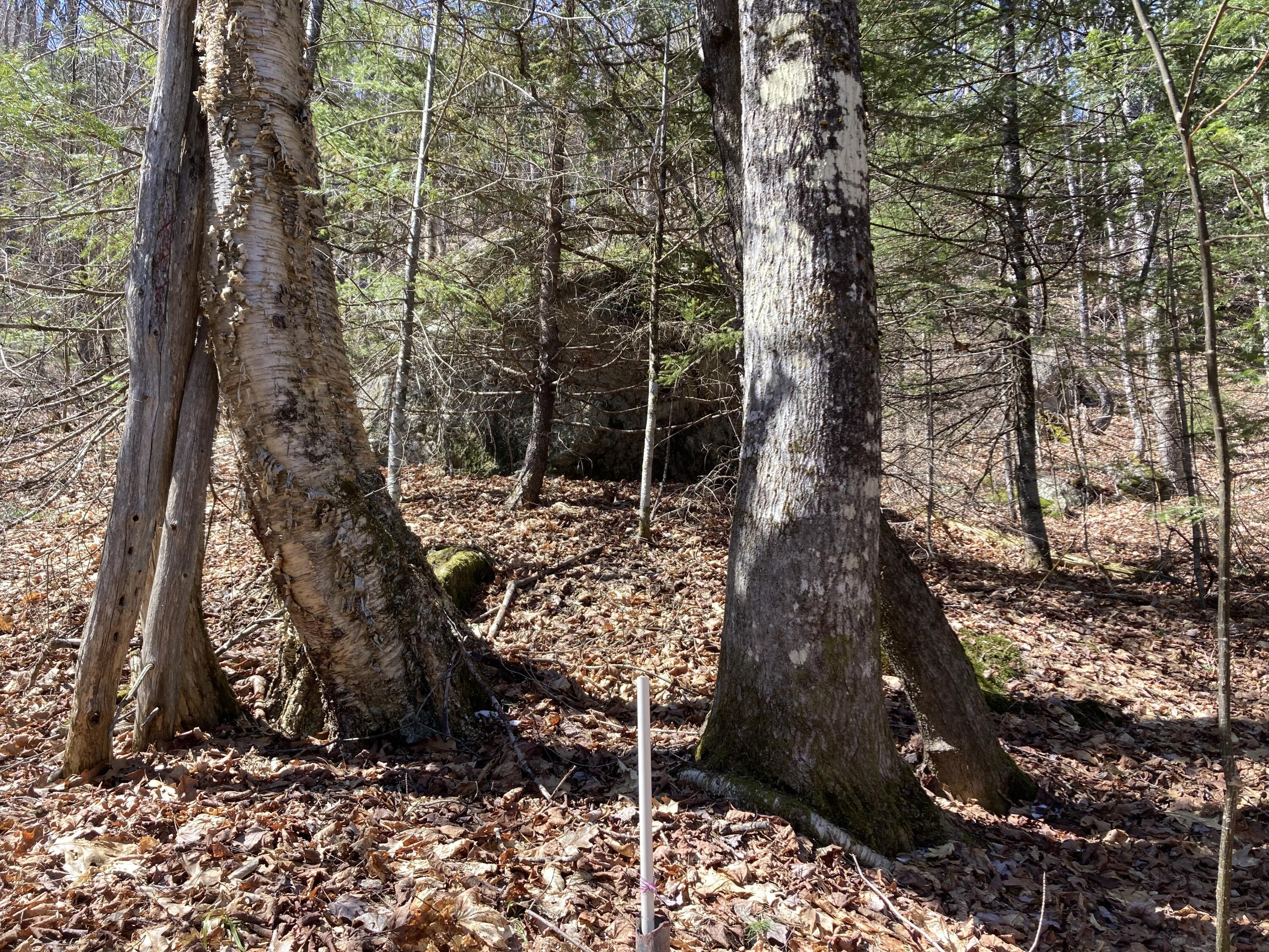 247 Ellis River Road Rumford ME 04276
