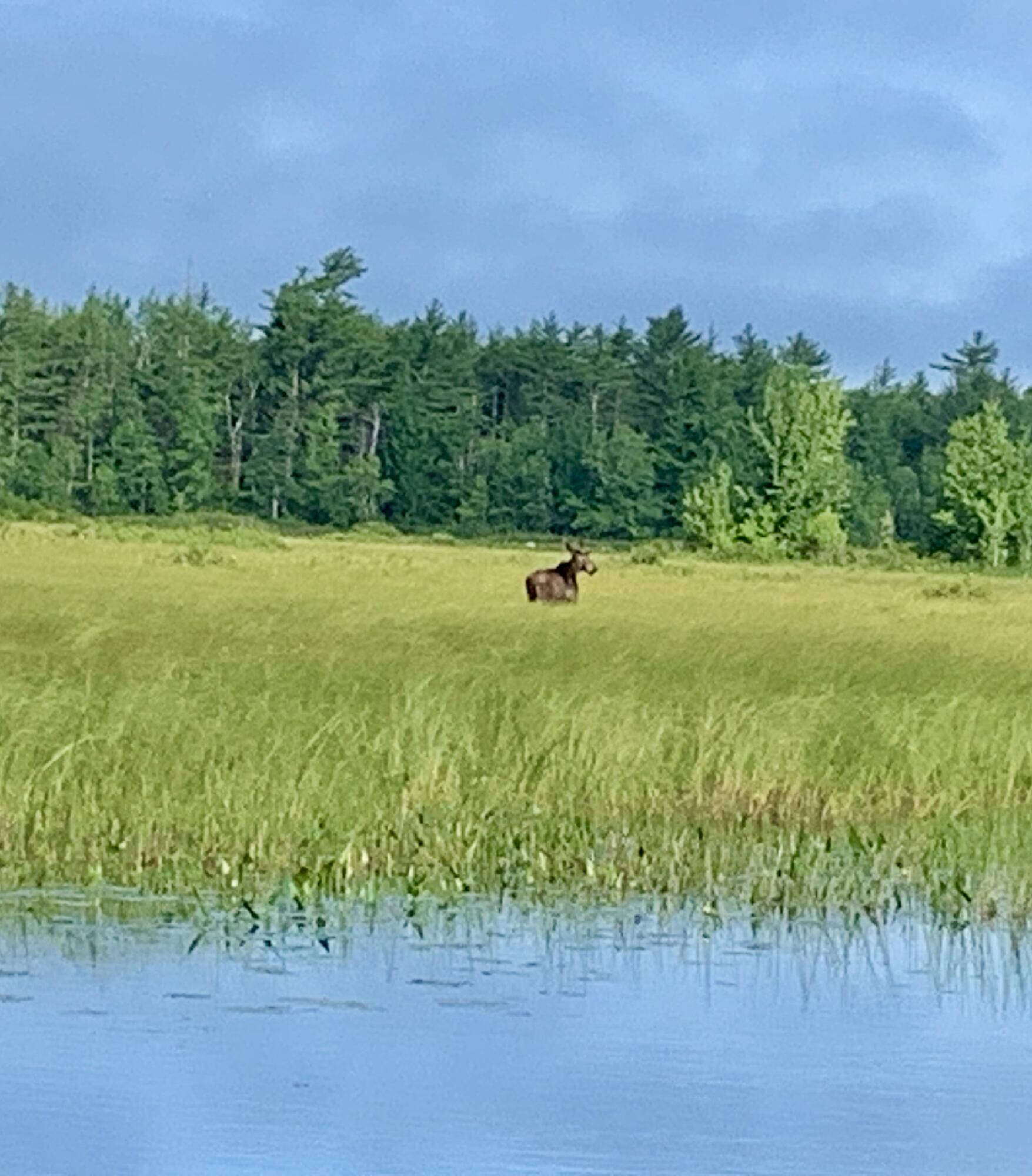 49 Christmas Cove Road Crawford ME 04694