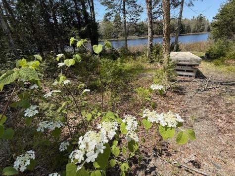 49 Christmas Cove Road Crawford ME 04694