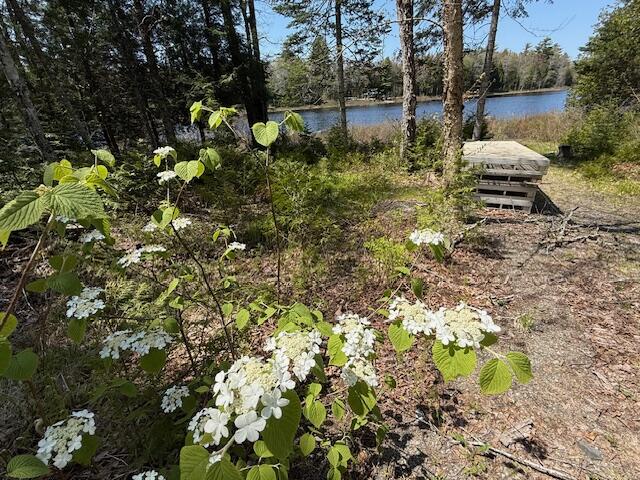 49 Christmas Cove Road Crawford ME 04694