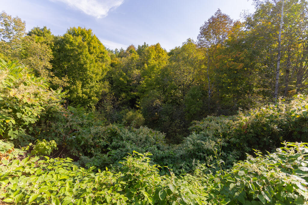 496 Farmington Falls Road Farmington ME 04938