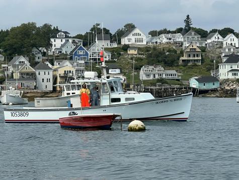 20 Tea Hill Road Stonington ME 04681