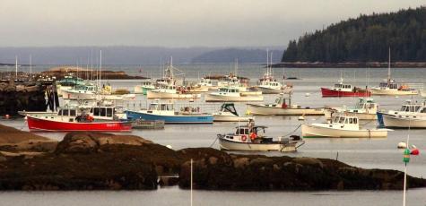 20 Tea Hill Road Stonington ME 04681