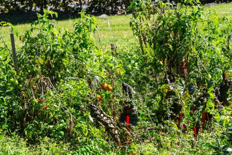 772 Prescott Road Manchester ME 04351