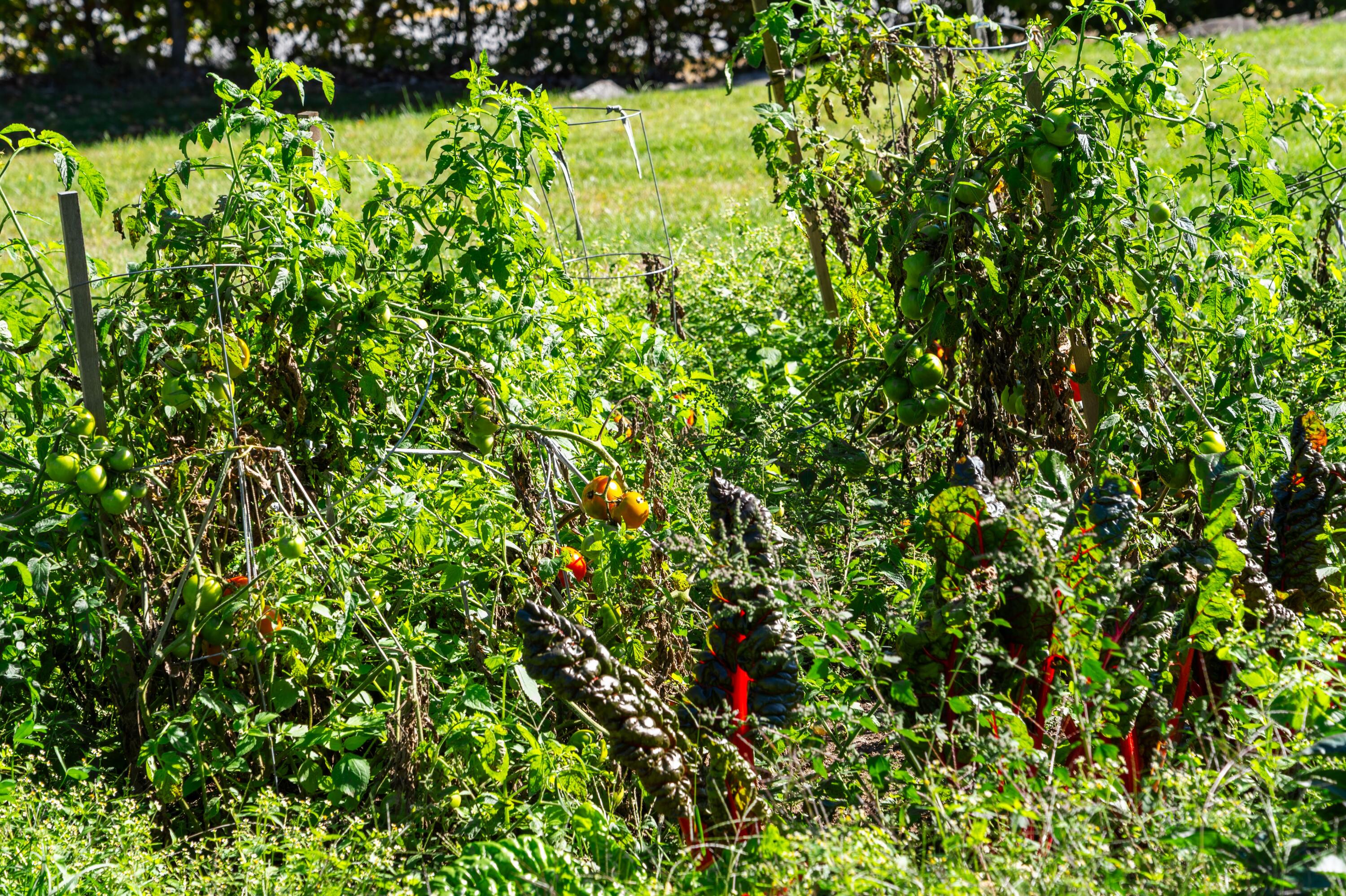 772 Prescott Road Manchester ME 04351