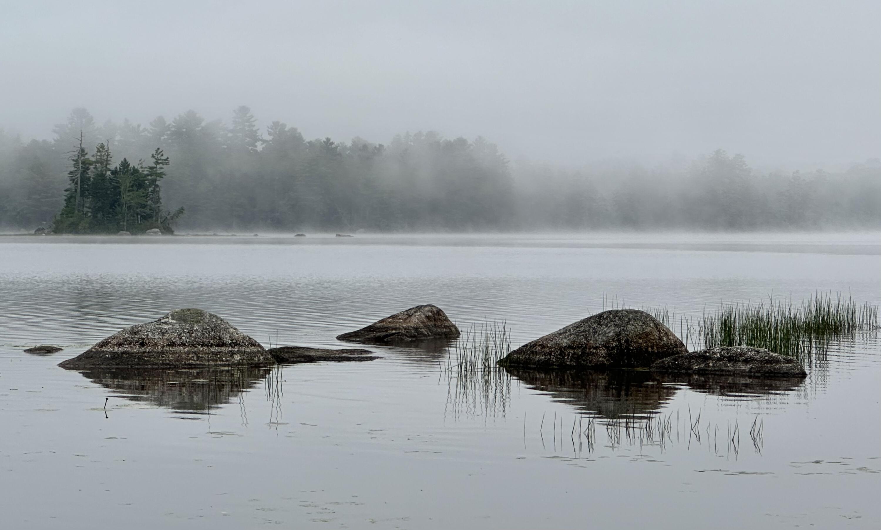 277 Gus Moore Road Penobscot ME 04476