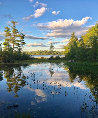 277 Gus Moore Road Penobscot ME 04476