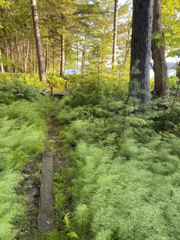 277 Gus Moore Road Penobscot ME 04476