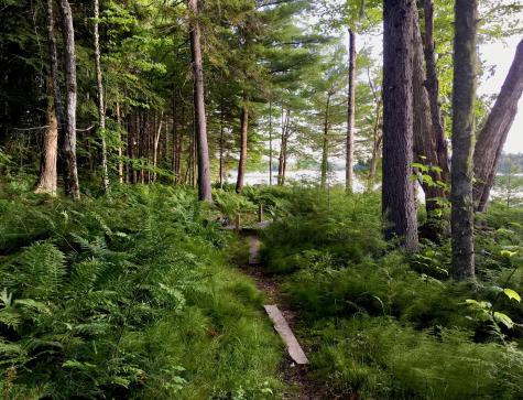 277 Gus Moore Road Penobscot ME 04476