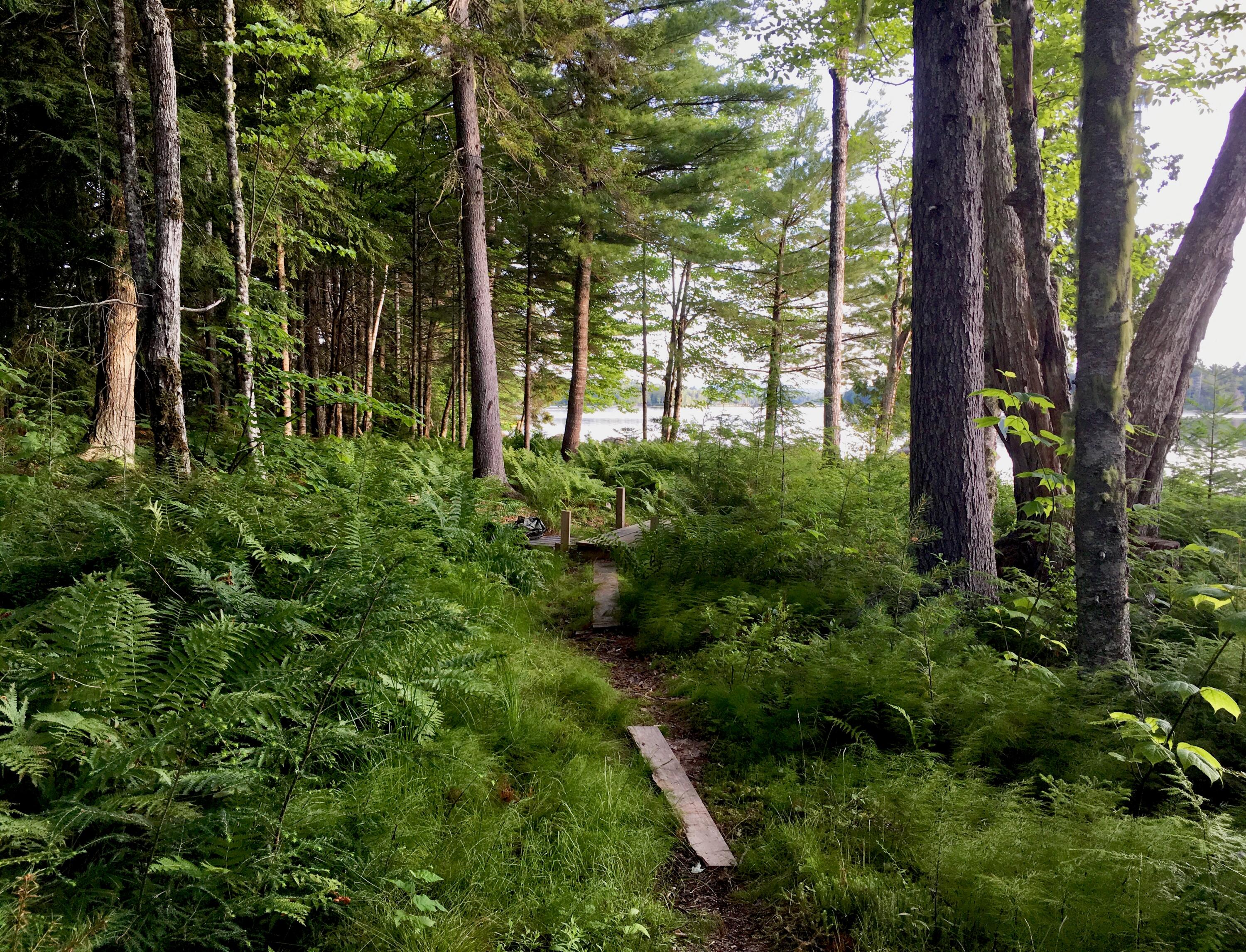 277 Gus Moore Road Penobscot ME 04476