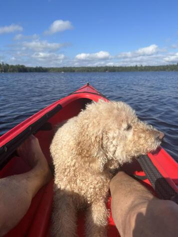 277 Gus Moore Road Penobscot ME 04476