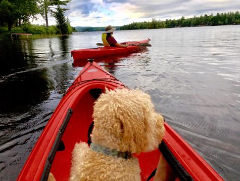 277 Gus Moore Road Penobscot ME 04476