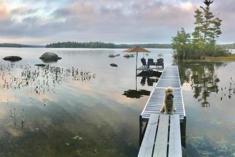 277 Gus Moore Road Penobscot ME 04476