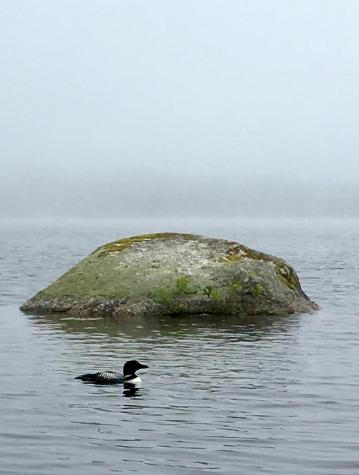 277 Gus Moore Road Penobscot ME 04476