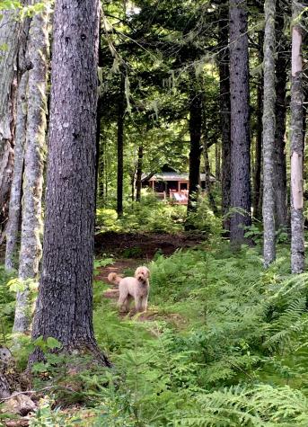 277 Gus Moore Road Penobscot ME 04476