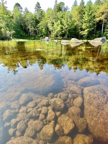 277 Gus Moore Road Penobscot ME 04476