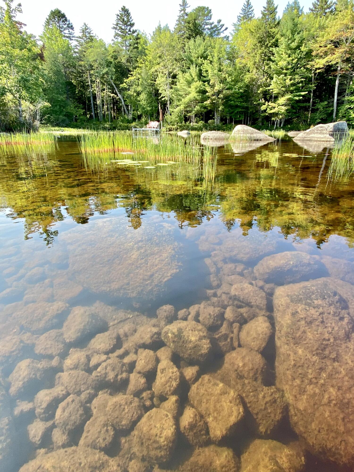 277 Gus Moore Road Penobscot ME 04476