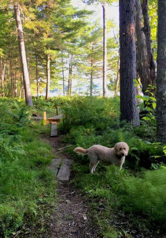 277 Gus Moore Road Penobscot ME 04476