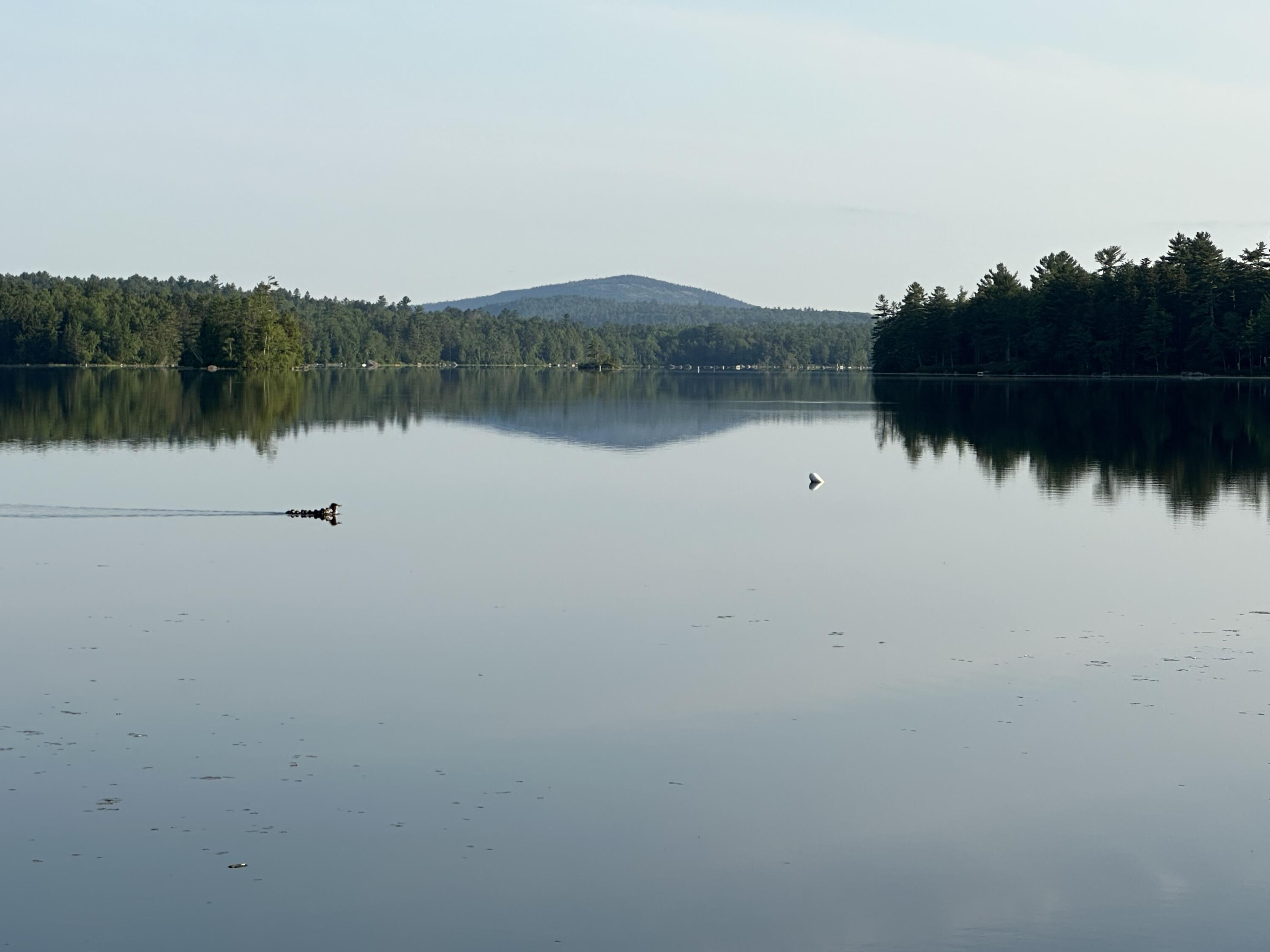 277 Gus Moore Road Penobscot ME 04476