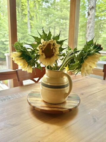 277 Gus Moore Road Penobscot ME 04476