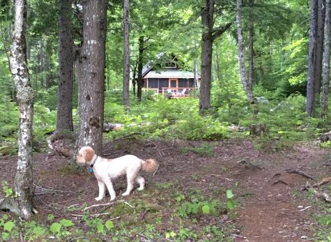 277 Gus Moore Road Penobscot ME 04476