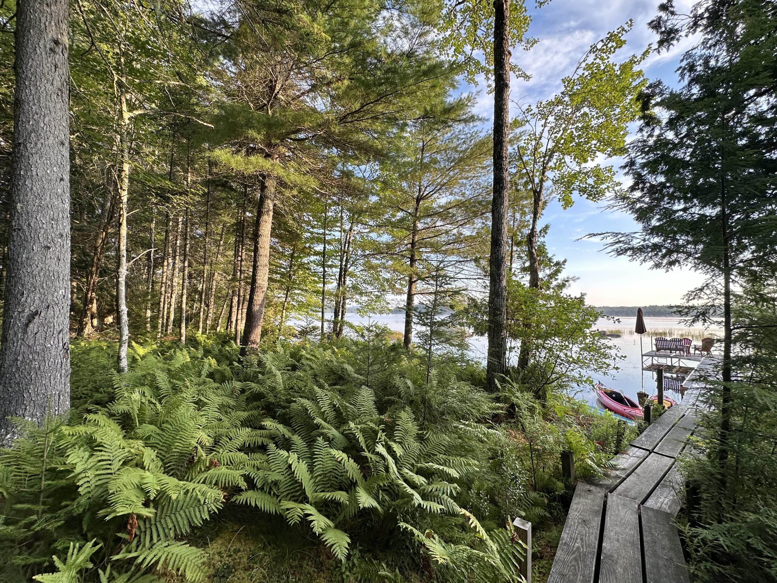 277 Gus Moore Road Penobscot ME 04476