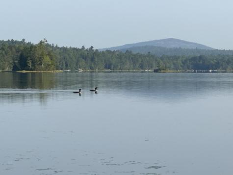 277 Gus Moore Road Penobscot ME 04476