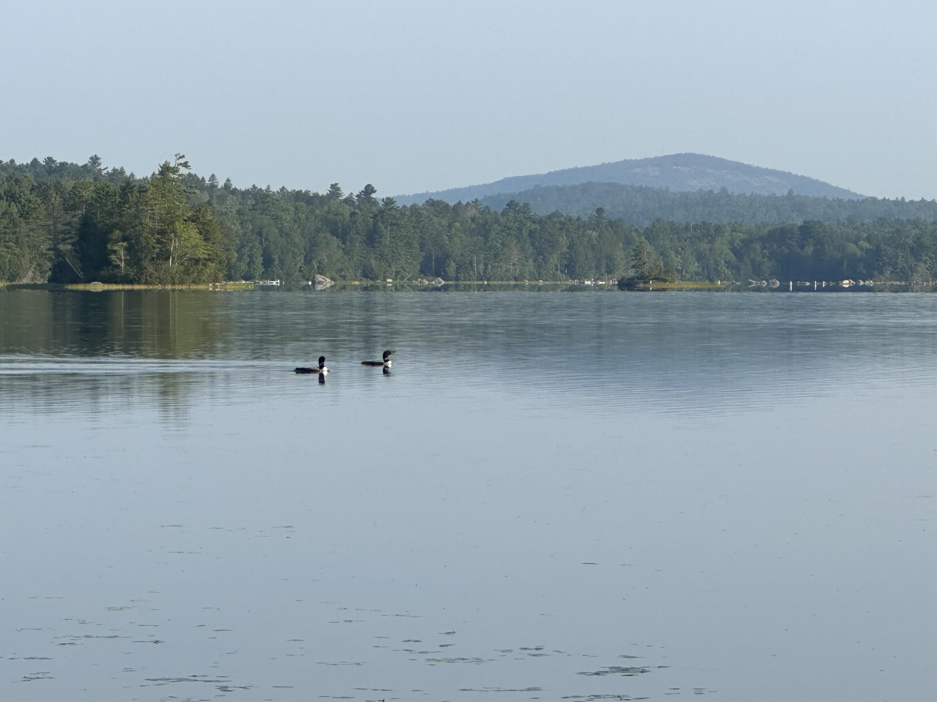 277 Gus Moore Road Penobscot ME 04476