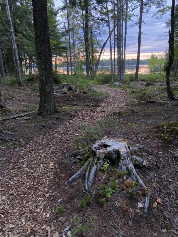 277 Gus Moore Road Penobscot ME 04476