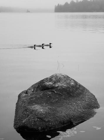 277 Gus Moore Road Penobscot ME 04476