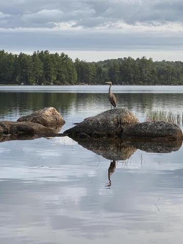 277 Gus Moore Road Penobscot ME 04476