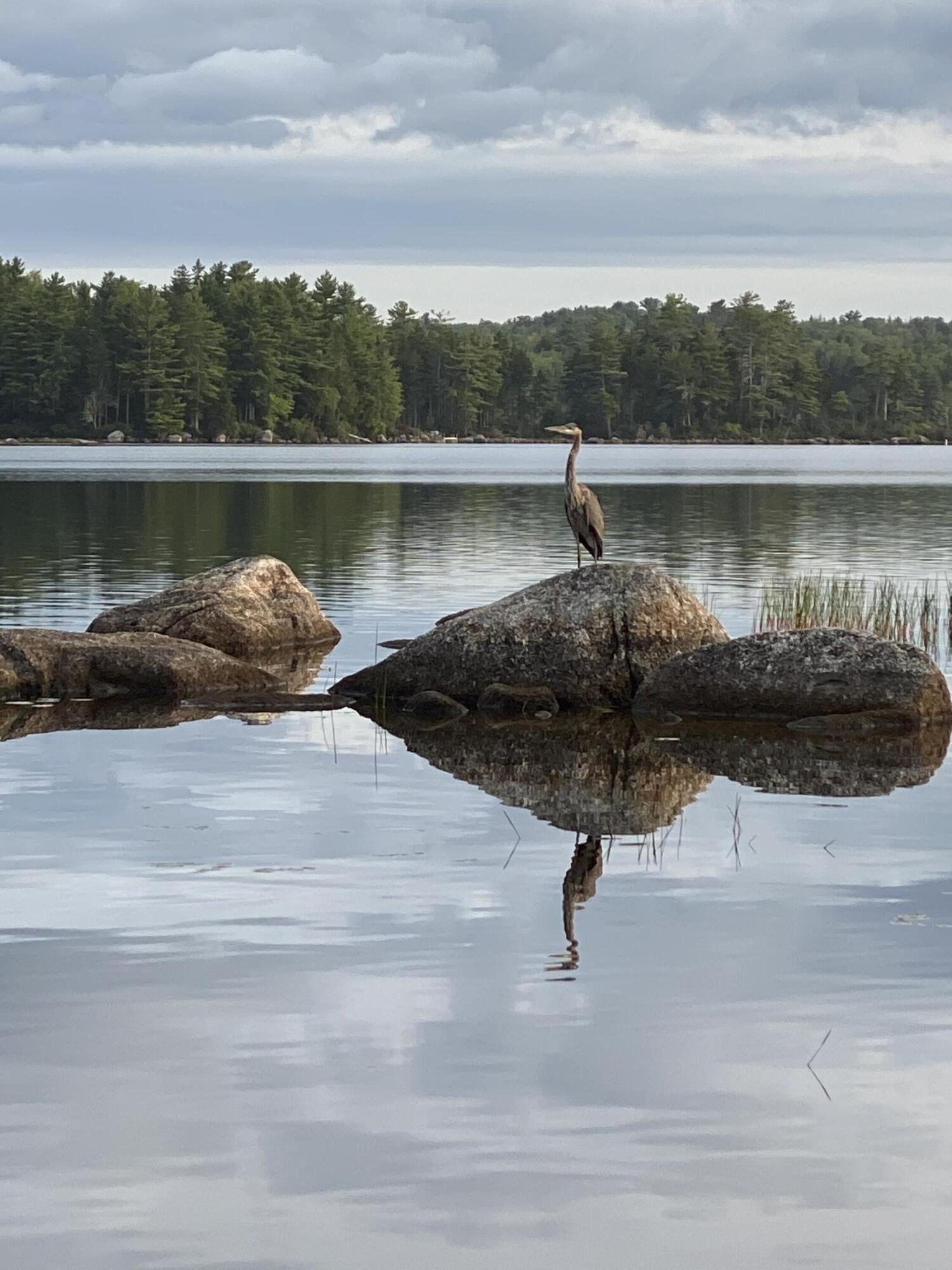 277 Gus Moore Road Penobscot ME 04476