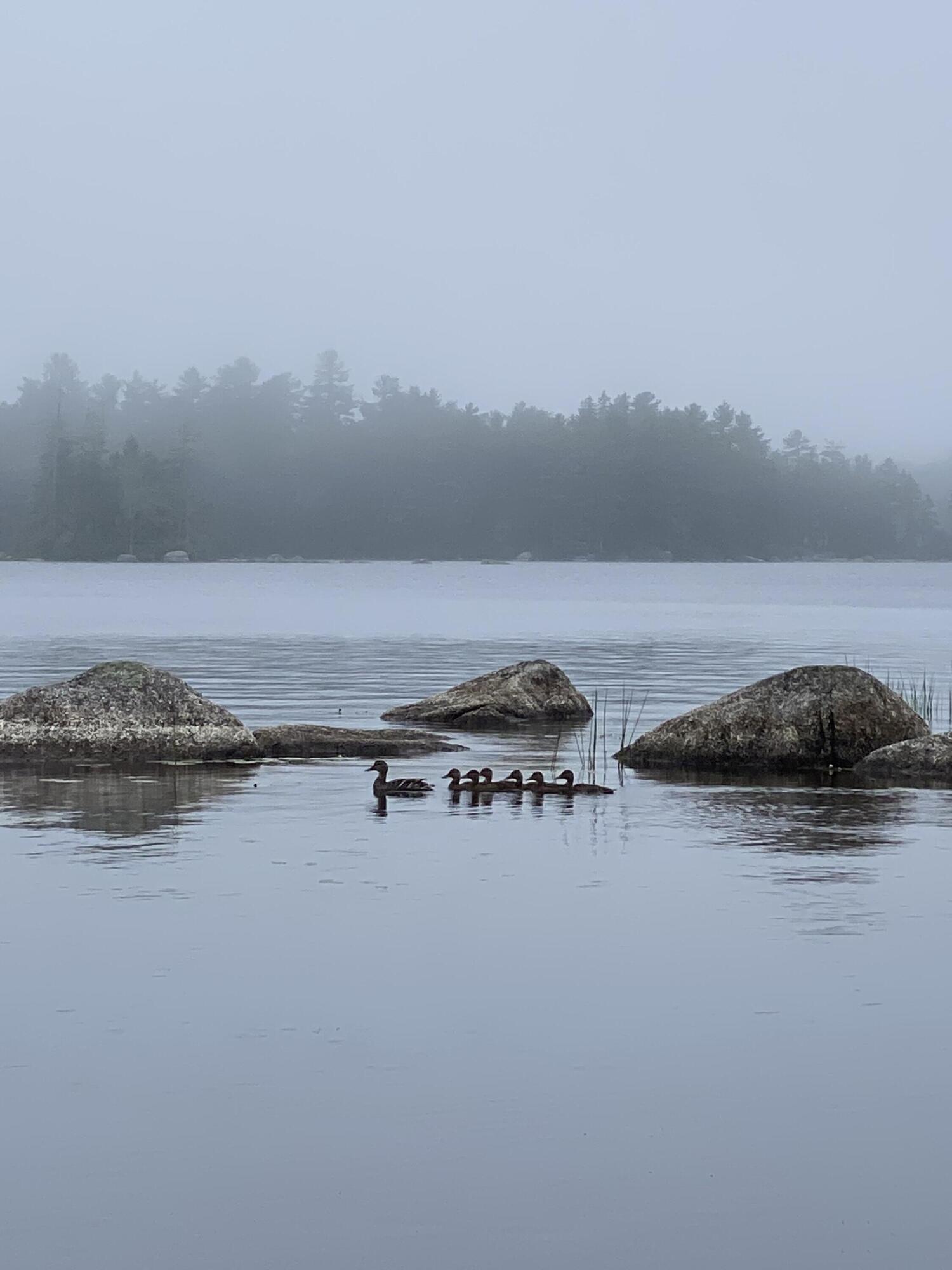 277 Gus Moore Road Penobscot ME 04476