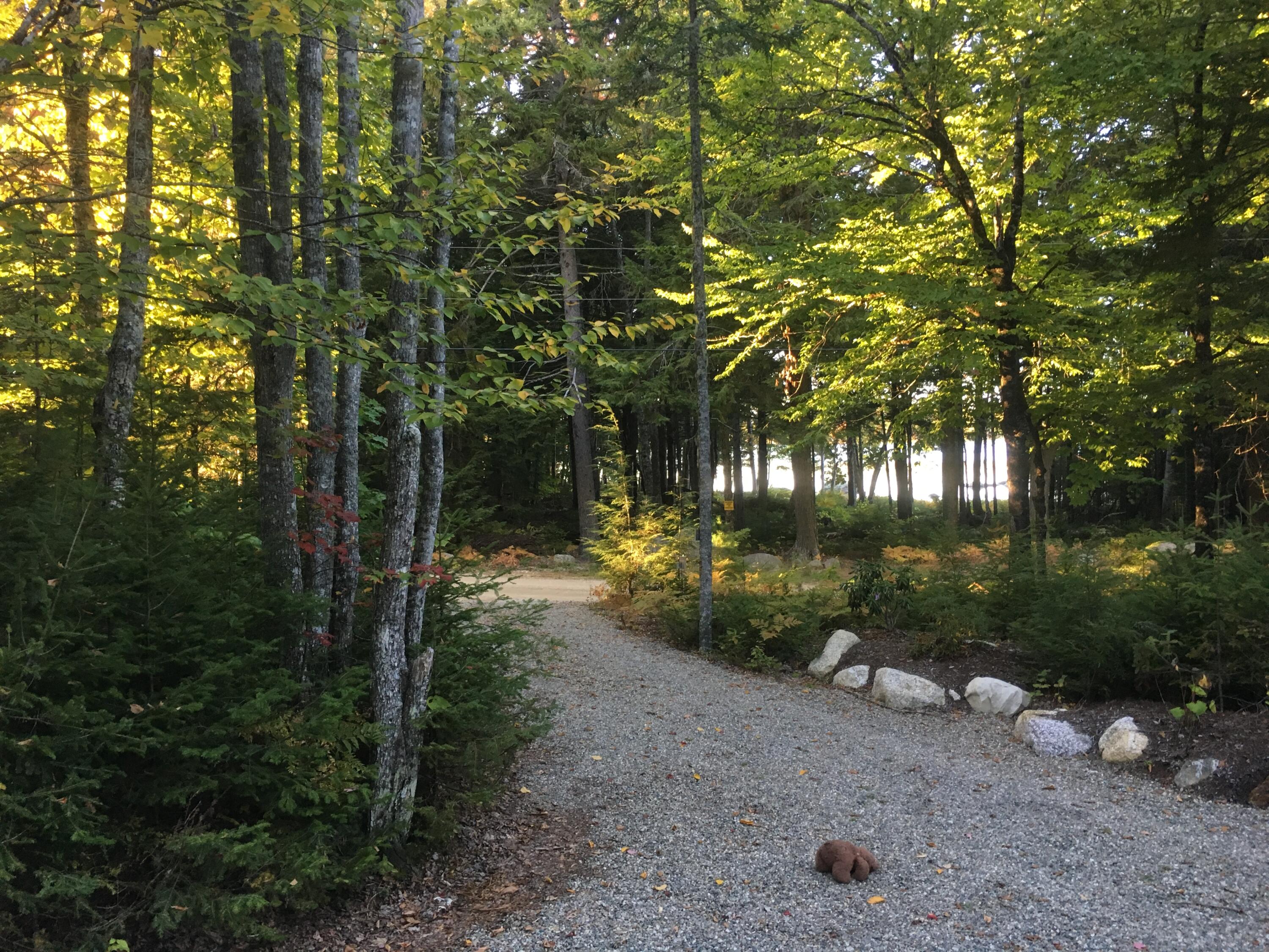 277 Gus Moore Road Penobscot ME 04476