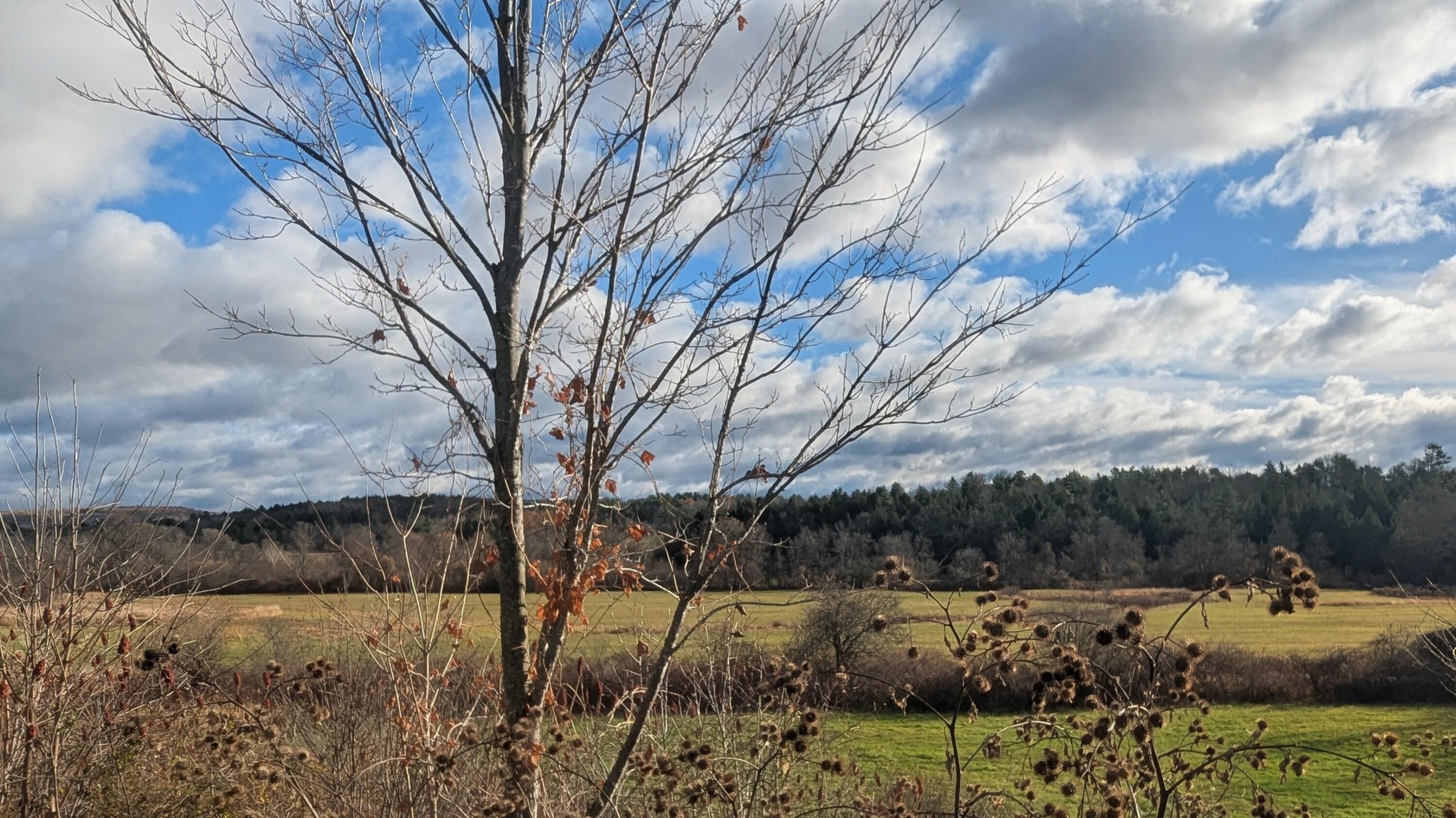 477 Malbons Mills Road Skowhegan ME 04976