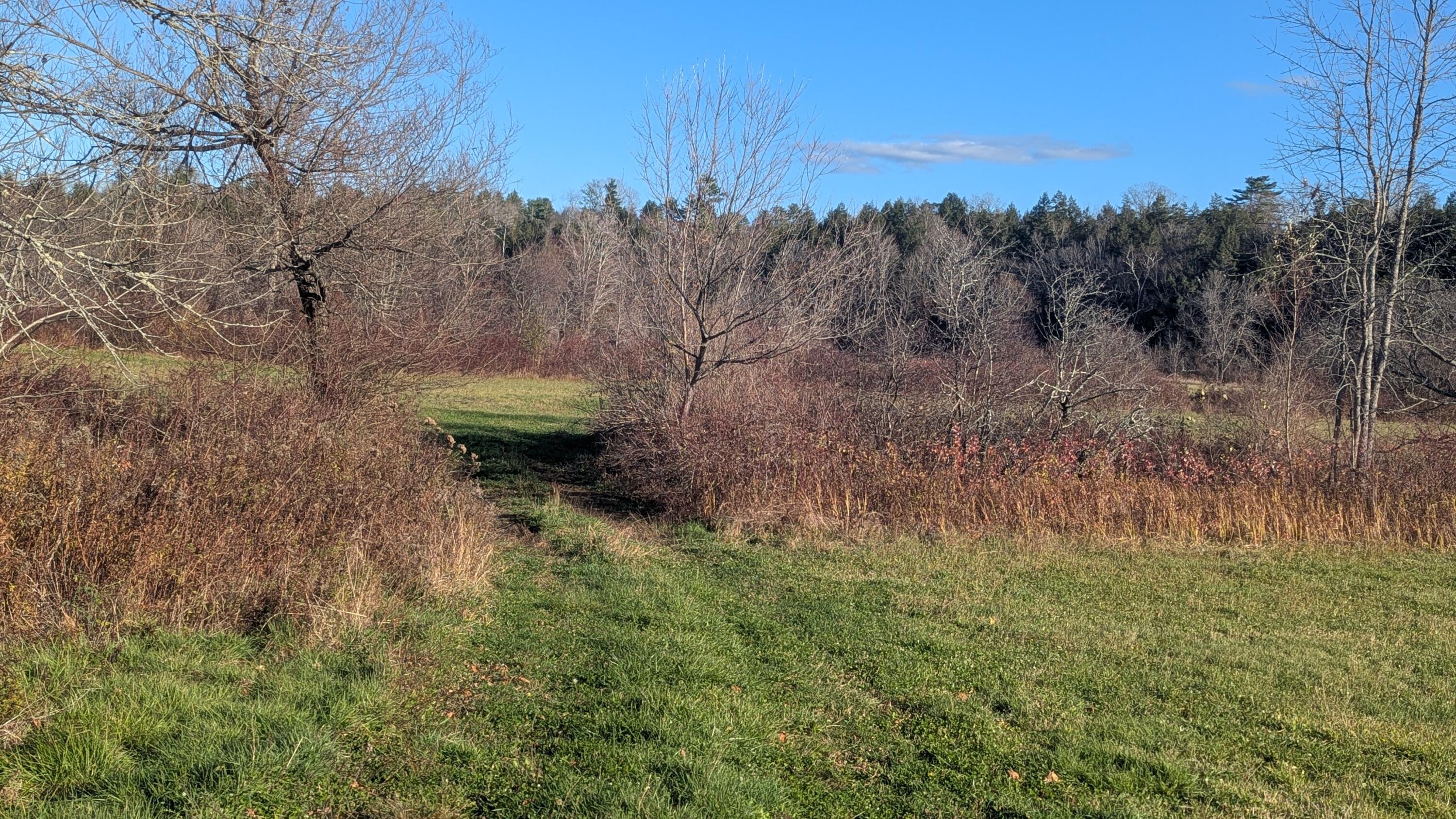 477 Malbons Mills Road Skowhegan ME 04976