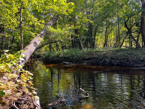 114 Dickvale Road Peru ME 04290