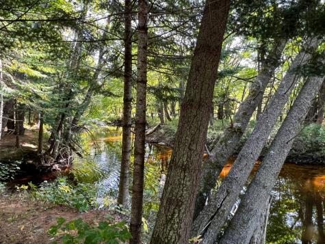 114 Dickvale Road Peru ME 04290