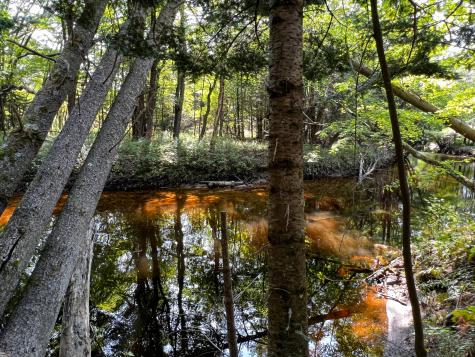 114 Dickvale Road Peru ME 04290