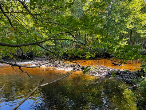 114 Dickvale Road Peru ME 04290