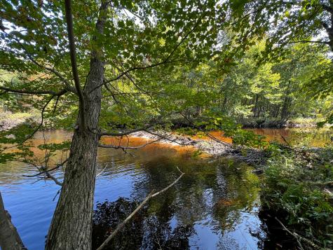 114 Dickvale Road Peru ME 04290